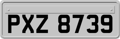 PXZ8739