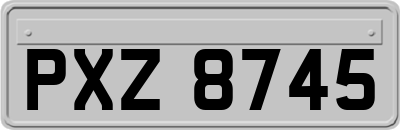 PXZ8745