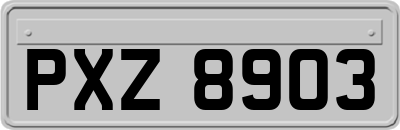 PXZ8903