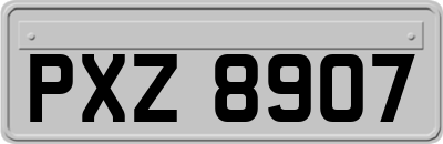 PXZ8907