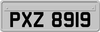 PXZ8919