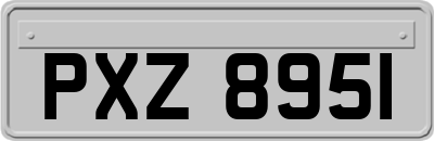 PXZ8951