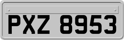 PXZ8953