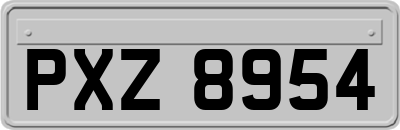 PXZ8954