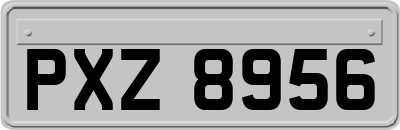 PXZ8956