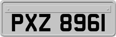 PXZ8961