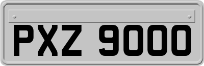 PXZ9000