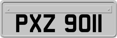 PXZ9011