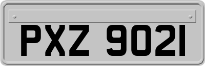 PXZ9021