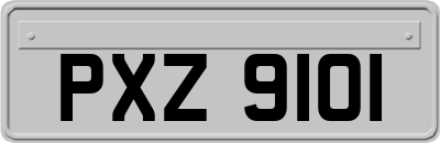 PXZ9101