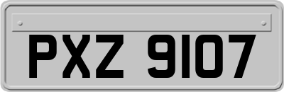 PXZ9107