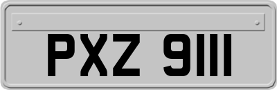 PXZ9111