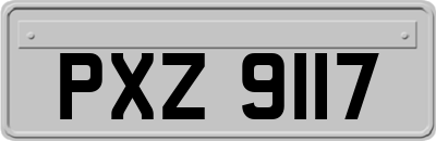 PXZ9117