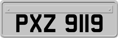 PXZ9119