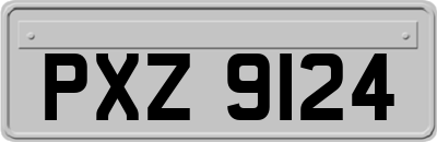 PXZ9124