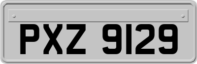 PXZ9129