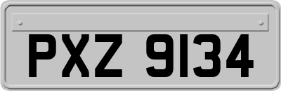 PXZ9134