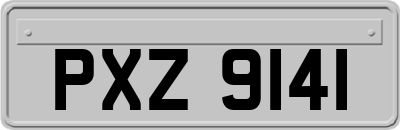 PXZ9141