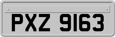 PXZ9163