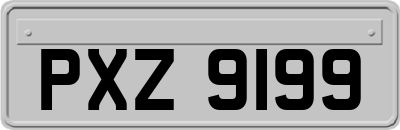 PXZ9199