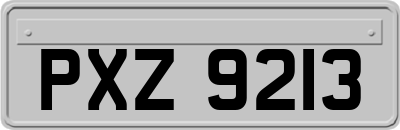 PXZ9213