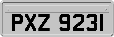 PXZ9231