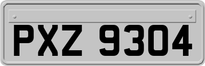 PXZ9304