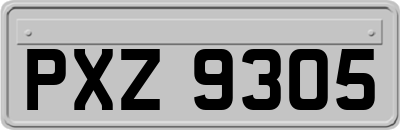 PXZ9305