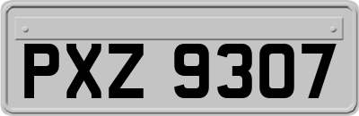 PXZ9307