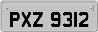 PXZ9312