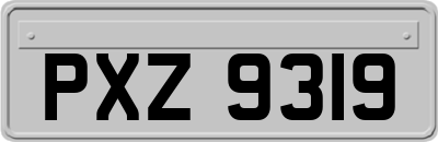 PXZ9319