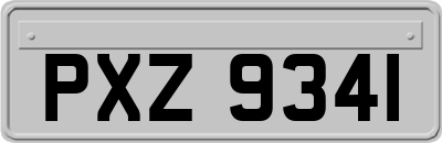 PXZ9341