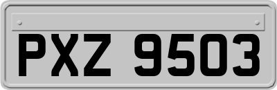 PXZ9503