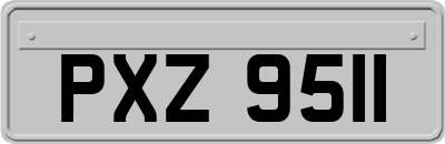 PXZ9511