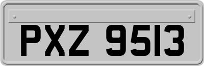 PXZ9513