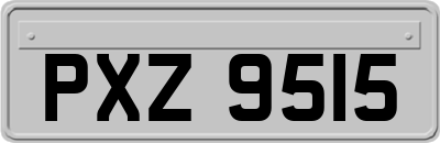 PXZ9515