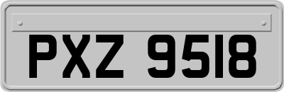 PXZ9518