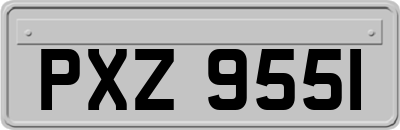 PXZ9551