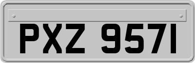 PXZ9571