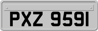 PXZ9591