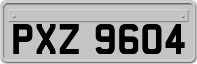 PXZ9604