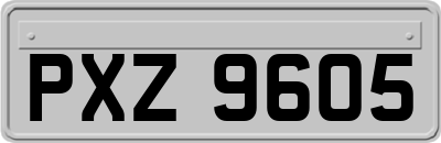 PXZ9605