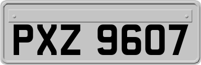 PXZ9607