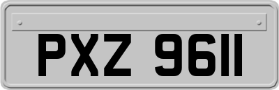 PXZ9611