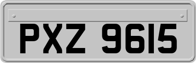 PXZ9615