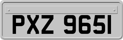 PXZ9651