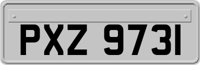 PXZ9731