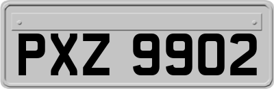 PXZ9902