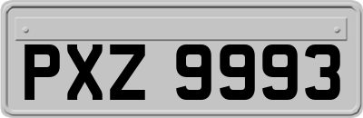 PXZ9993