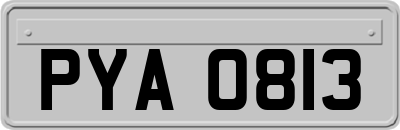 PYA0813